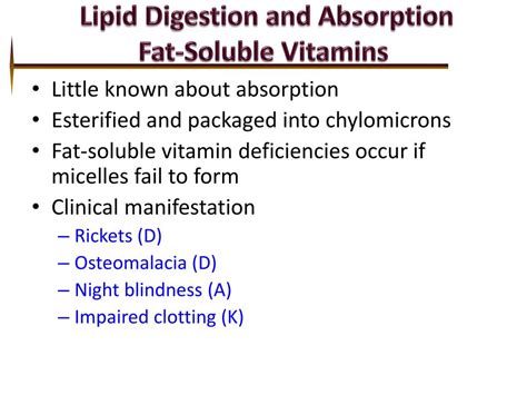 PPT - Digestion and Absorption Proteins and Lipids PowerPoint ...