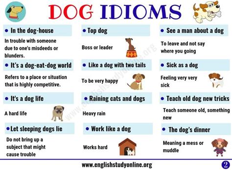 What Is The Meaning Of The Idiom Sick As A Dog