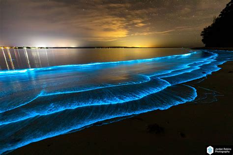 Stunning bioluminescence display in Jervis Bay