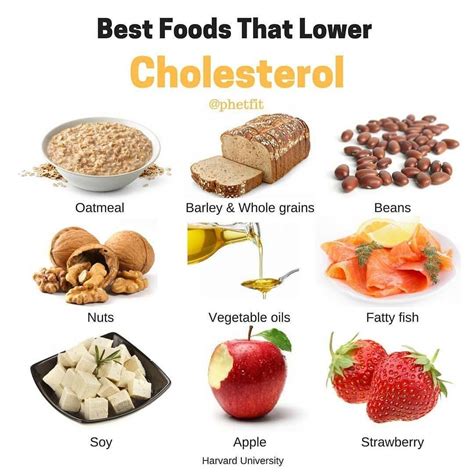 Healthy Foods to Lower Cholesterol Levels