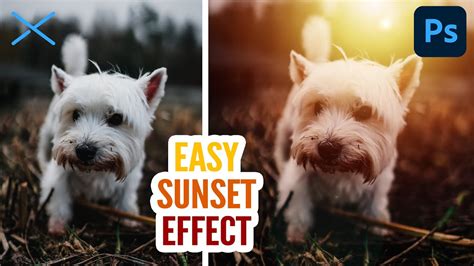 Easy SUNSET Effect in Photoshop CC - Radial Gradient Tutorial - YouTube