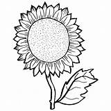 Sunflower Coloring Page At GetDrawings  Free Download sketch template