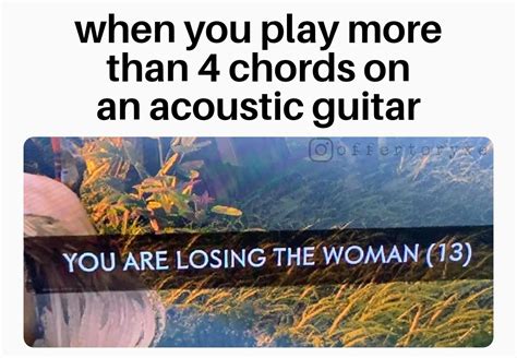 4 chords, take it or leave it : r/musicmemes