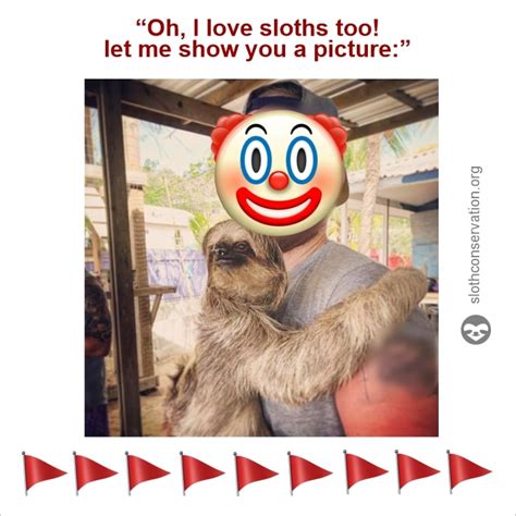 Best Sloth Memes - The Sloth Conservation Foundation