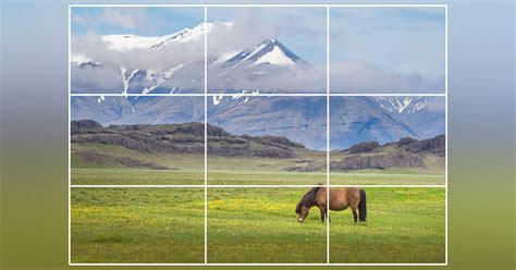 Rule Of Thirds Examples Before And After