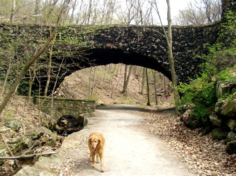 hikewithyourdog: Schenley Park