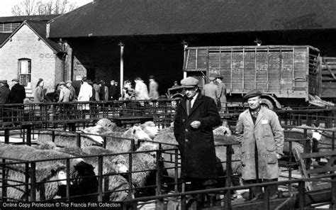 Photo of Melton Mowbray, At The Sheep Market c.1955