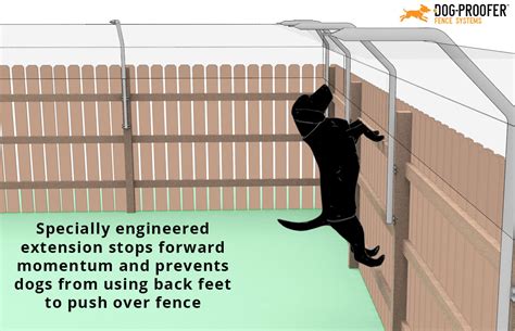 How To Stop Dog From Jumping Fence