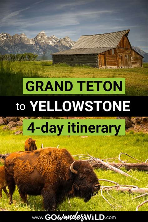 4 Day Grand Teton to Yellowstone Itinerary - Go Wander Wild