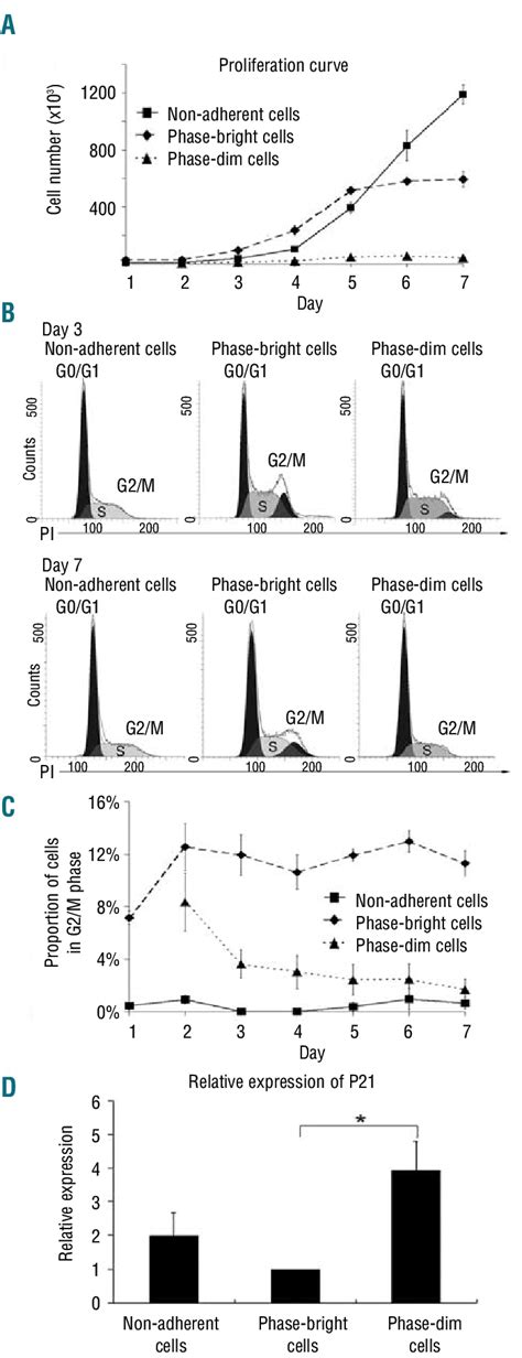 Cell proliferation and cell cycle status. (A) Proliferation kinetics of... | Download Scientific ...