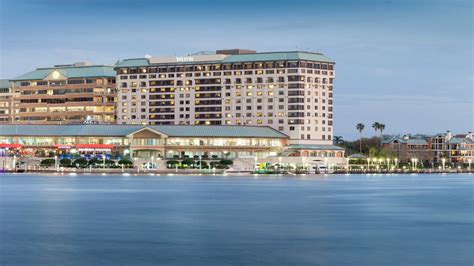 Downtown Tampa Restaurants | The Westin Tampa Waterside