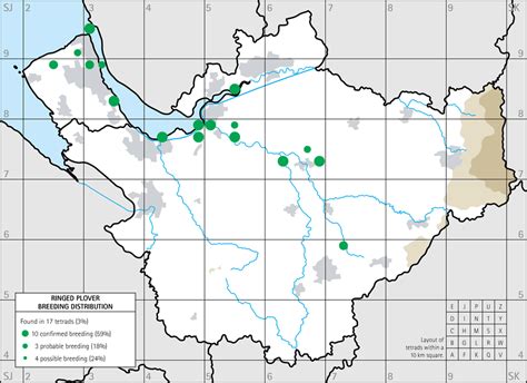 Ringed Plover breeding distribution maps