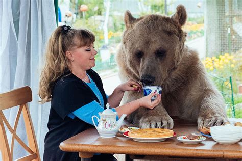 家族の一員になったクマさん - ロシア・ビヨンド