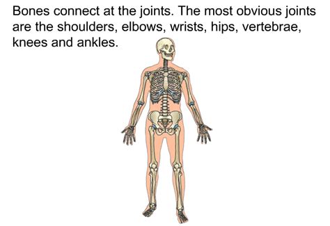 PatEdu.com : Joint Fusion