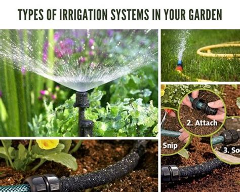 Best Types Of Irrigation Systems In Your Garden | GARDENS NURSERY