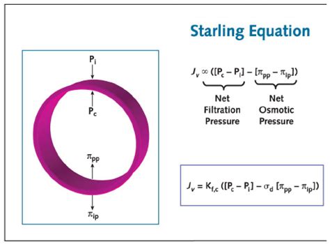 Starling, Cvs, Bricks, Equation, Pie Chart, System, Brick, Common Starling, Equality