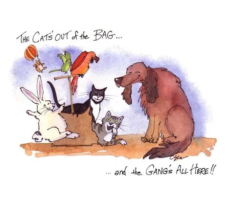 Funny Pets Card Animals Birthday Card Dog Cat by tylersworkshop