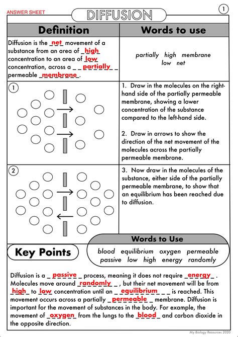 Diffusion And Osmosis Worksheet – Ame.my.id