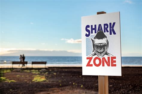 Shark Warning Sign Shark Zone Funny Poster Digital Download | Etsy