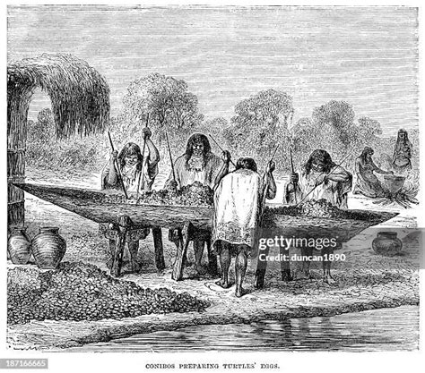 Amazon River Natives Photos and Premium High Res Pictures - Getty Images