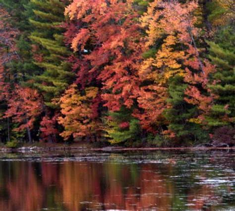 Eastern Adirondacks - Fall Foliage - PhotoMonium