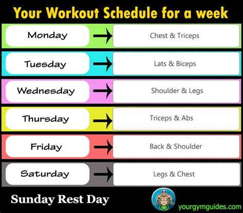 workout schedule list | HEALTH & GYM GUIDE