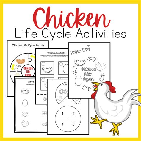 Life Cycle of a Chicken Preschool Printables | Chicken life cycle activities, Farm animal crafts ...