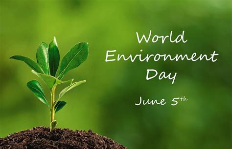 World Environment Day observed in Belize