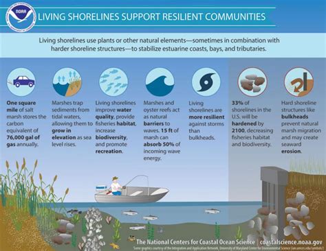 Coastal Erosion | U.S. Climate Resilience Toolkit