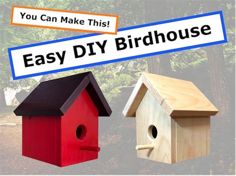 Simple Bird House Plans & Instructions Super Easy DIY Nature - Etsy