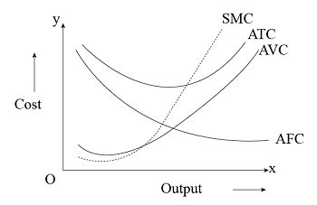 a) Draw a graph that illustrates the average total cost, average variable cost, average fixed ...