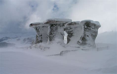 Cercetează: Muntii Carpati