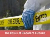 The basics of biohazard cleanup