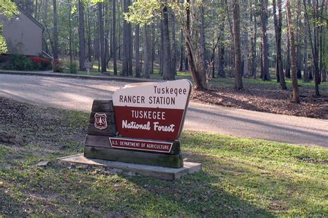 Tuskegee National Forest – GrammaLei