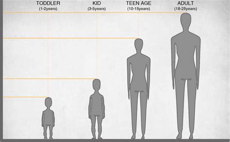 Anthropometry In Architecture Design | Urban Design Lab