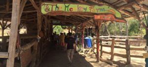 Interactive Tours at The Monkey Farm in Costa Rica | The Monkey Farm - Costa Rica | Ride Horses ...