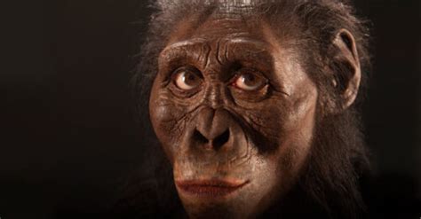 Lucy Had Neighbors: A Review of African Fossils - The Leakey Foundation