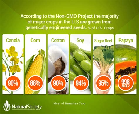 A GMO label that doesn't say "GMO"? - Naked Food Magazine