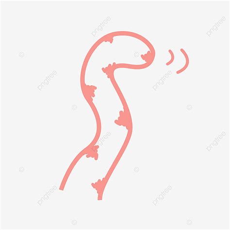 Cat Vector PNG Images, The Cat, S Tail, Tail, Mother PNG Image For Free Download