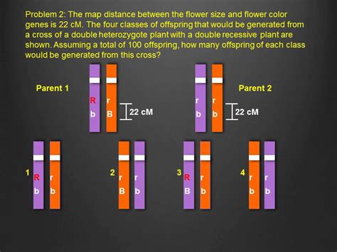 Linkage Mapping - YouTube