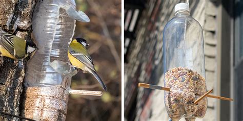 5 DIY Bird Feeder Designs | Plant Perfect