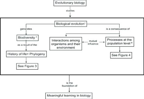 Concept map of evolutionary biology showing the two components of... | Download Scientific Diagram