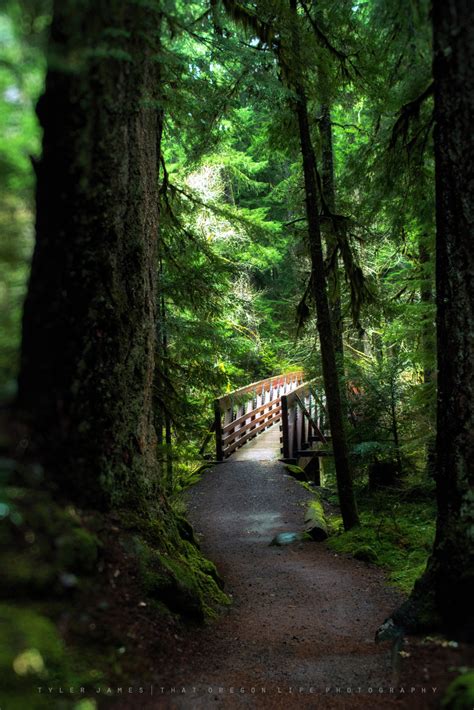 Getaway to Bagby Hot Springs in Oregon