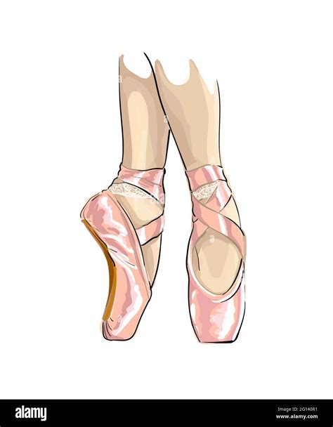 Legs of ballerina in ballet shoes , colored drawing, realistic. Vector ...