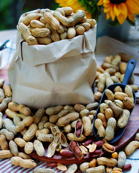 Easy Roasted Peanuts in the Shell - Southern Discourse