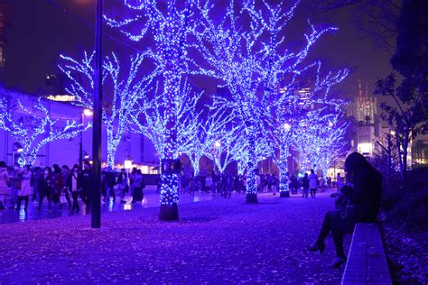 Tokyo Blue Grotto Christmas lights in Shibuya Japan landscape