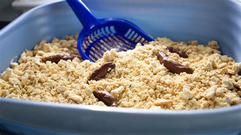 Kitty Litter Cake Recipe - Tablespoon.com