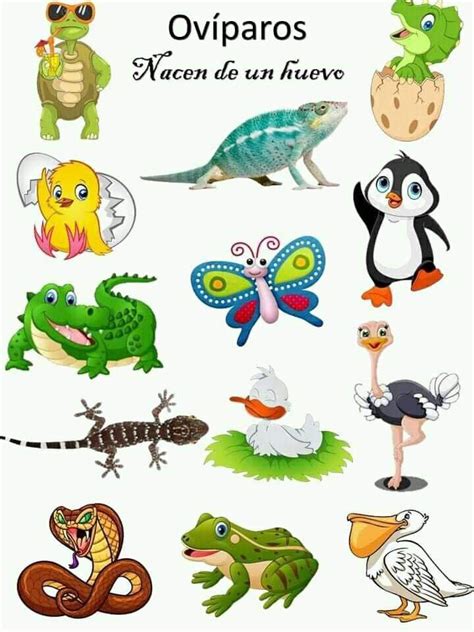 Pin by Inga Pu on metodinei | Math activities preschool, Recycling facts, Animals