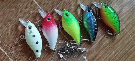 Best Setup for Crankbait Fishing: 7 Tips and Tricks - Lure Me Fish