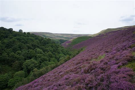 20th August 2017 - Derwent Edge